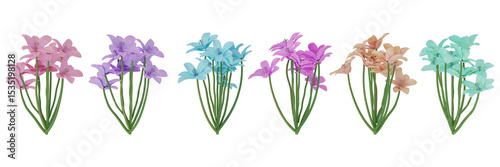 Png. Trasparente. Primavera, estate. Fiori, fiore, in primo piano su sfondo trasparente..