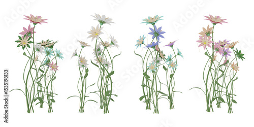 Png. Trasparente. Primavera, estate. Fiori, fiore, in primo piano su sfondo trasparente..