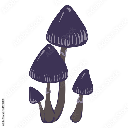 Poisonous mushrooms , toadstool, inedible toxic mushroom, fly agaric, white toadstool. Isolated hand drawn doodle illustration on a white background. Potion ingredient, Magic, Halloween