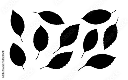 Simple black silhouettes of oak, maple, chestnut and other tree leaves in a monochrome style ideal for autumn nature illustration, seasonal decor, and graphic templates