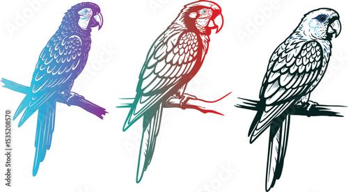 Vibrant Parrot Trio A Showcase of Color Gradients and Detailed Line Art Depicting Graceful Birds on Perches, parrot icon, wildlife, design, nature eps.