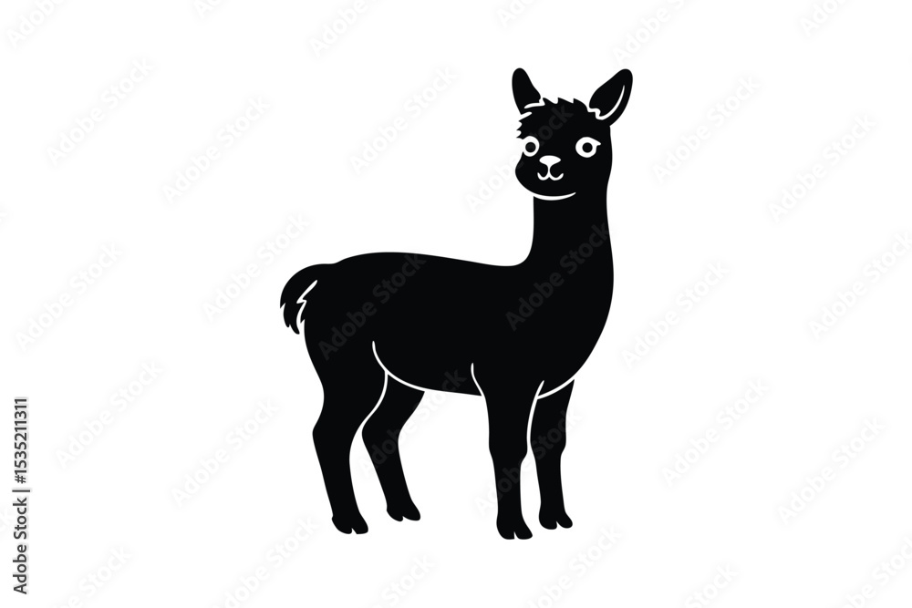 Fototapeta premium Curious baby llama looking up vector art illustration