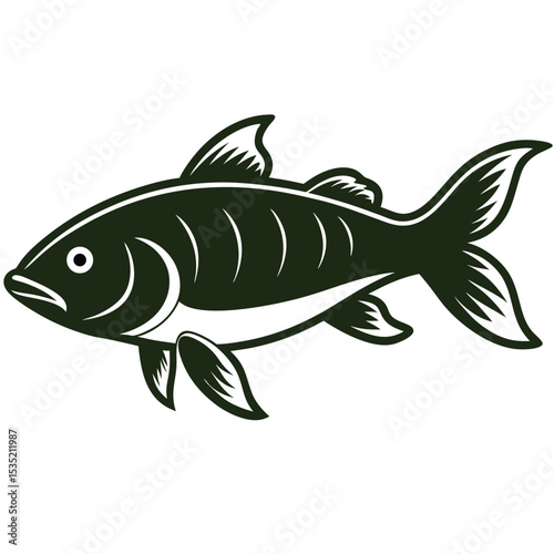 Isolated common carp fish silhouette illustration on white background