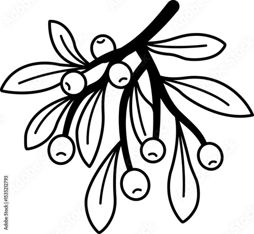 black and white illustration of a mistletoe branch