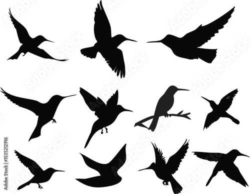 dark silhouette birds flying, monochrome minimalist bird illustration, vector graphic design birds, stark black and white bird silhouette art
