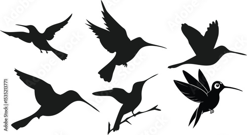 dark silhouette birds flying, monochrome minimalist bird illustration, vector graphic design birds, stark black and white bird silhouette art
