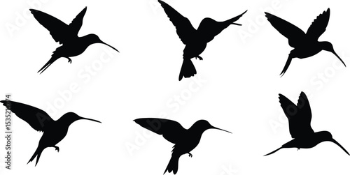 dark silhouette birds flying, monochrome minimalist bird illustration, vector graphic design birds, stark black and white bird silhouette art
