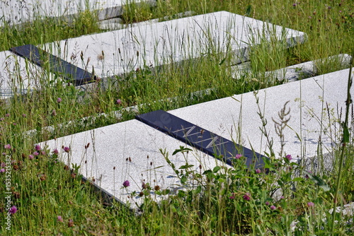 Wroclaw, Poland - 12th June 2025: Cemetery of Polish Soldiers in Wroclaw, Oporow Hill. Grave of unknown soldier.
