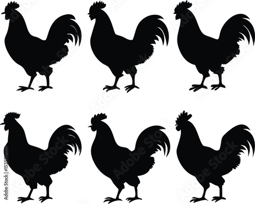 rooster silhouette, realistic roosters, 3 roosters illustration, black and white rooster drawings, detailed rooster profiles, poultry farm animal designs, high quality vector graphics of roosters
