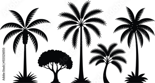 Black silhouette palm trees and bush set isolated on white background