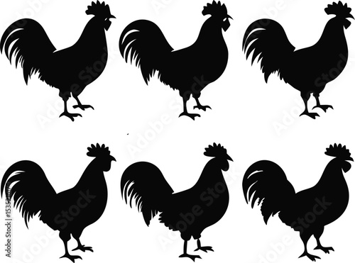 rooster silhouette, realistic roosters, 3 roosters illustration, black and white rooster drawings, detailed rooster profiles, poultry farm animal designs, high quality vector graphics of roosters
