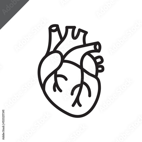 Heart linear icon. Human body / Cardiology / Internal organ / Anatomy. Sign for presentations, scientific medical works, apps, projects, medicine, health. Editable stroke. Vector flat illustration.