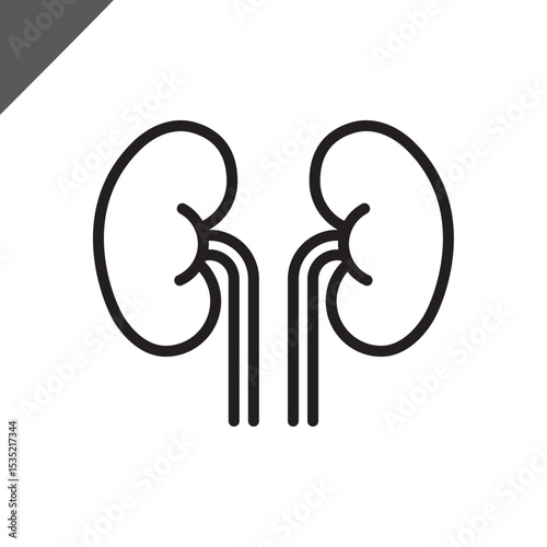 Kidneys linear icon. Human body / Internal organ / Renal / Anatomy. Sign for presentations, scientific medical works,advertisements,apps,projects, medicine. Editable stroke. Vector flat illustration.