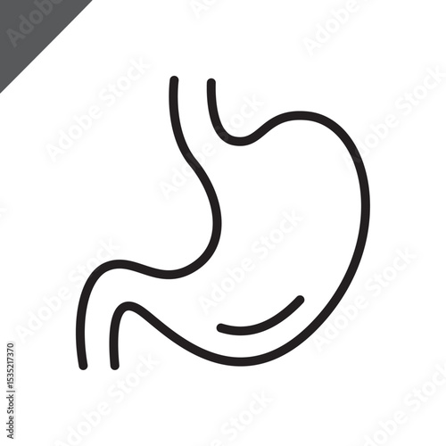 Stomach linear icon. Human body / Internal organ / Anatomy. Sign for presentations, scientific medical works,advertisements,apps,projects, medicine, health. Editable stroke. Vector flat illustration.