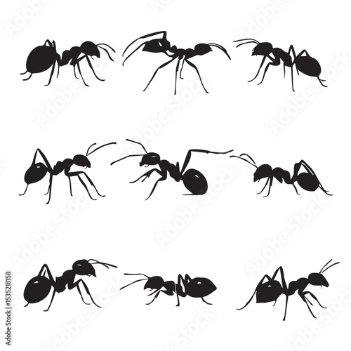 ant silhouette set, Black & White silhouette set