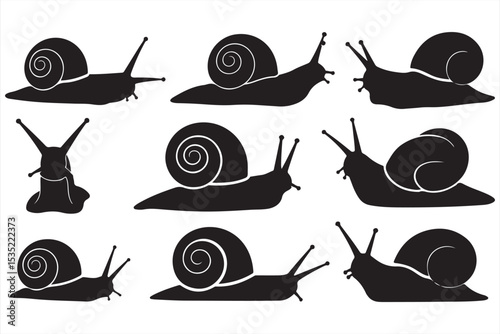 Stylized Silhouette Snail Collection with Spiral Shells and Natural Motion Curves