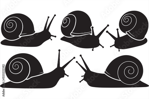 High-Resolution Snail Silhouettes in Side and Front Views for Scientific Graphics