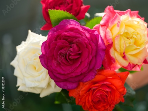 Close-up shot of a bouquet of colourful roses photo