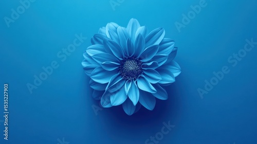 Monochromatic blue dahlia bloom in striking minimal composition of nature