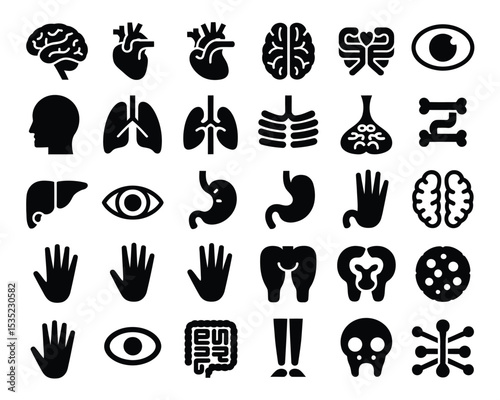 Human Anatomy & Organ Vector Icon Set – 40 Black Flat Medical Icons for Education and Health Apps