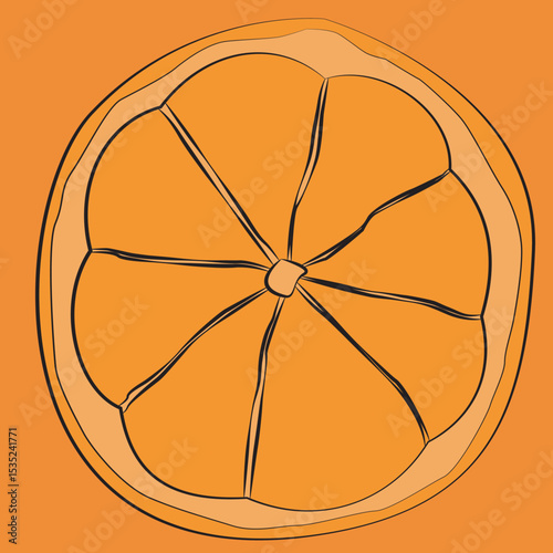 vector illustration of orange fruit
