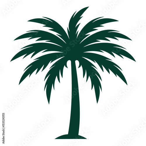 palm tree silhouette
