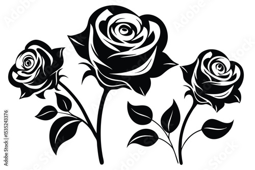 Elegant black and white rose arrangement design suitable for decorative and artistic purposes