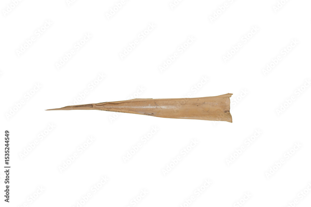 Obraz premium Dried Palm Leaf Isolated on a Transparent Background PNG Image