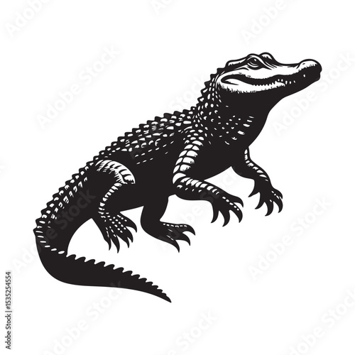 lizard on white background