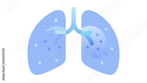 the emerald Lung of the rainforest