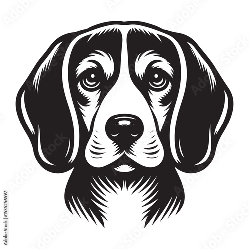 beagle dog portrait