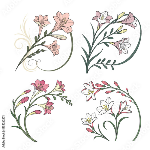 Elegant Floral Designs A Collection of Exquisite Flower Illustrations