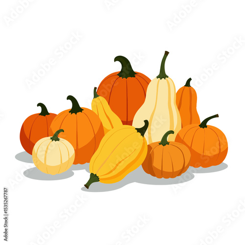 Assorted pumpkins in various shapes and sizes on a white background  