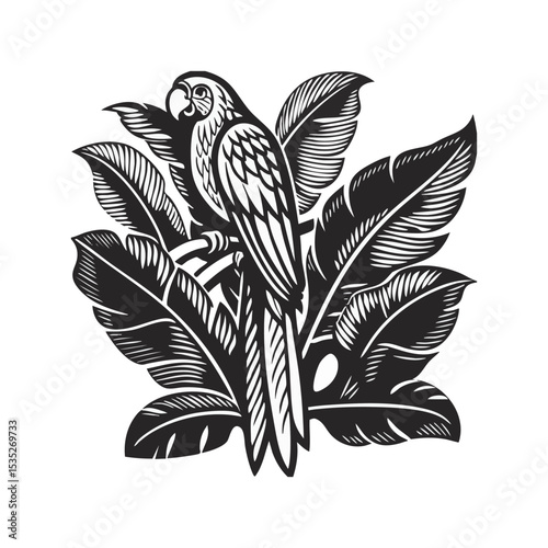 parrot image on large leaves