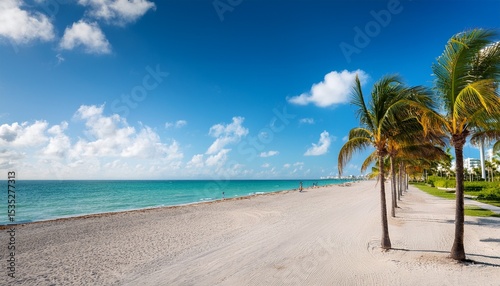 palm trees on a beautiful sunny summer afternoon in miami beach florida with ocean and blue sky in the background
