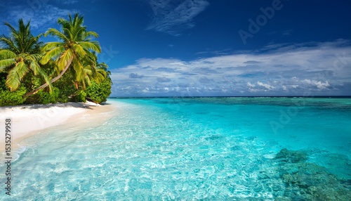 palm trees and clean transparent turquoise water on the beautiful maldives tropical island
