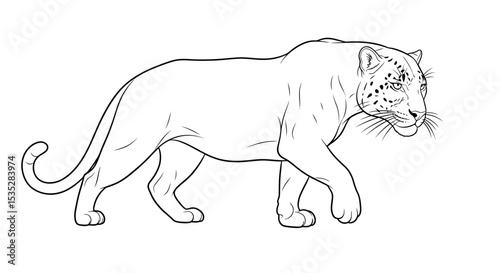 Panther Vector Outline: Coloring Book Style Big Cat Illustration for Kids