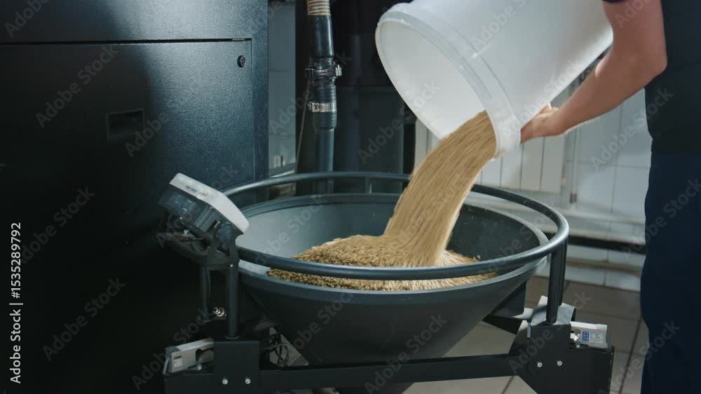 Coffee production process involves pouring green coffee beans from a bucket into a modern roasting machine hopper, preparing them for roasting