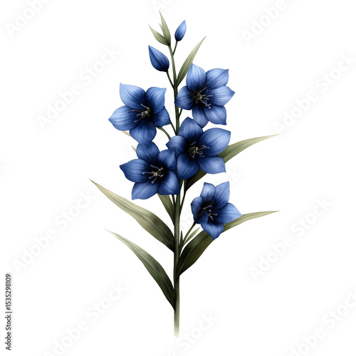 A watercolor illustration of a single blue wildflower flower isolated on a transparent background	