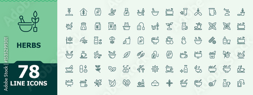 Herbs vector line icon set. Spice linear icon collection. Minimalist editable vector stroke. Contains such icons as spice, herbal, herb and more. Vector illustration.