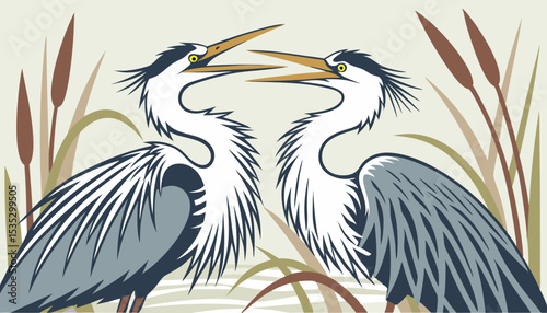 Mated pairs of great blue herons often reinforce their bond by displaying ruffled plume feathers and intimate postures towards each other.     