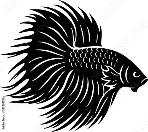 betta fish vector illustration, isolated on white