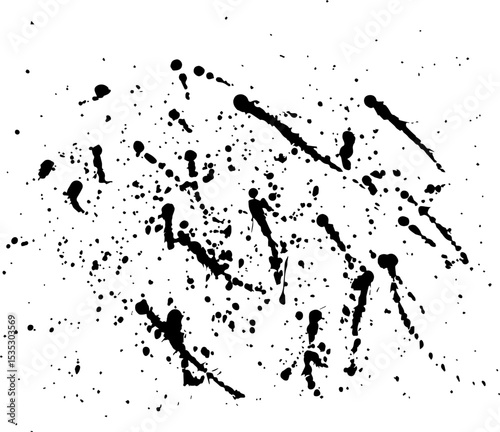 Abstract black splashes. Black blots. Brush Strokes. Vector illustration