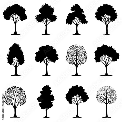 Isolated tree silhouettes. Black drawing of forest plants. Park scene elements. Graphic arts for natural landscape background. Garden design elements. Vector illustration