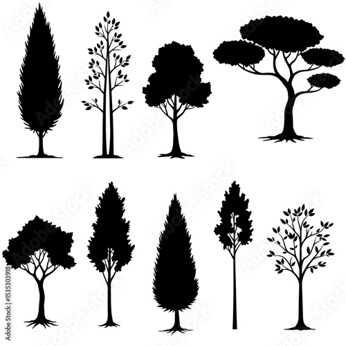 Isolated tree silhouettes. Black drawing of forest plants. Park scene elements. Graphic arts for natural landscape background. Garden design elements. Vector illustration