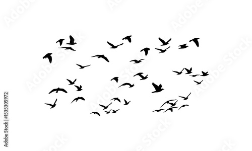 Flock of black birds soaring together, perfect for wildlife articles, nature themes, brochures, and flyers on migratory birds.
