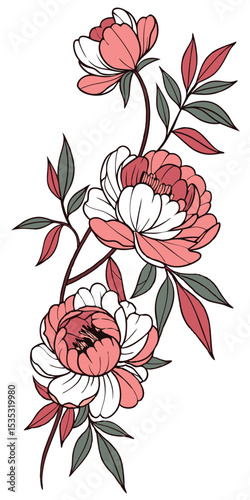 close-up the flowers of the Peony arranged beautifully and decorated with vines