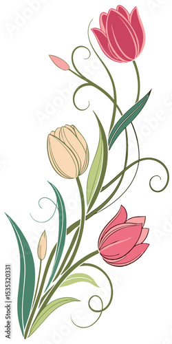 close-up the flowers of the Tulip arranged beautifully and decorated with vines