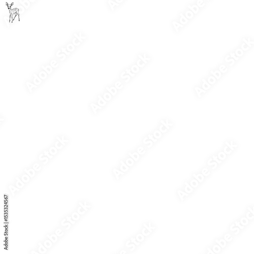 baby deer standing alert and gazing forward, minimal black ink illustration on white background, concept of children’s books, spring cards, wildlife education
