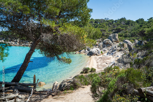 Fototapeta Naklejka Na Ścianę i Meble -  tropical beach with turquoise water